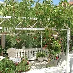 Apartment 21 Kosinac Green Paradise Vinisce